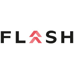 Flash logo
